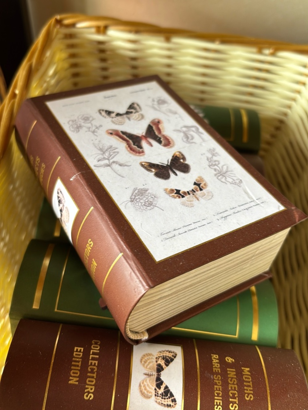 Butterfly Cover Decorative Verbena Soap